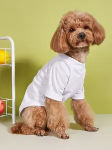 Close-up detail of breathable white mesh pet t-shirt worn by a cute poodle in a studio scene.