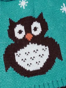 Close-up detail of cute owl knitted pet dog sweater with winter snowflake pattern fabric.