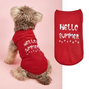Gros plan détaillé du gilet d'été rouge pour animal avec un bel imprimé Hello Summer mignon.