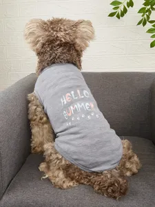 Joli gilet d'été pour chien avec imprimé Hello Summer, vêtement gris respirant pour animaux.