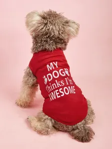 Détail de gilet pour chien de compagnie respirant d'été, texte anglais mignon et motif de patte.
