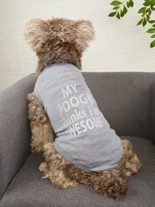 Gilet pour chien respirant gris d'été avec jolie impression de lettres, doux et confortable.