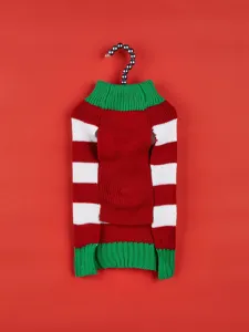 Details of the cute pet Christmas knitted sweater with red and white stripes and green collar.