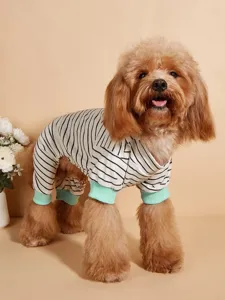 Cute striped dog jumpsuit with mint green cuffs, perfect for daily autumn wear photo details.