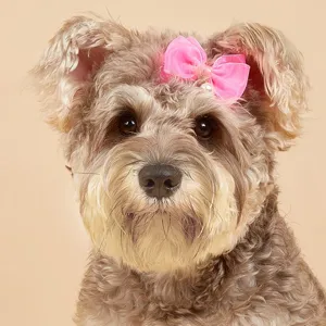 Prinzessin Stil Hund Haar Schleife Clip Süß Rosa Rosenrot Blau Künstliche Perle Haustier Haaraccessoires Für Hunde Katzen