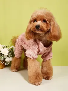 Close-up detail view of the cozy pink knitted dog sweater texture, showcasing soft pet apparel.