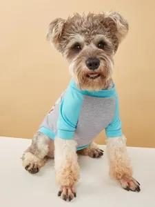 Close-up detail of pet dog t-shirt with raglan sleeves and cute printed graphic design.