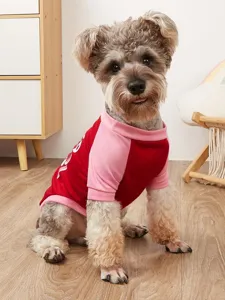 Cute dog clothes colorblock t-shirt with short raglan sleeves and letter print detail.