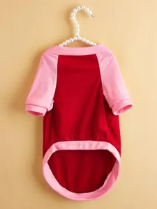 Cute color block pet t-shirt with raglan sleeves for small dogs, stylish and comfortable detail.