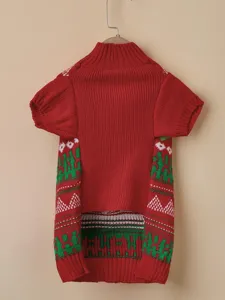 Red knit dog sweater with green wavy patterns, cozy autumn winter apparel for small pets.