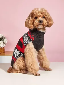 Close-up detail of knitted pet dog sweater featuring cute winter snowflake and bear patterns.