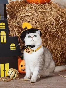 Detailed shot of a cute pet wearing a Halloween witch hat and pumpkin collar accessory.