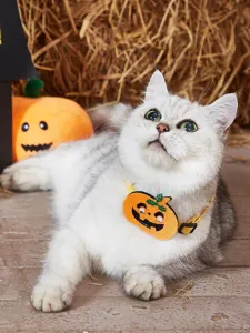 Halloween cat collar with cute pumpkin pendant, adjustable pet neck strap for holiday dress up.