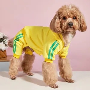 Autunno inverno cane animale felpa con cappuccio pantaloni rigati stile college dettaglio