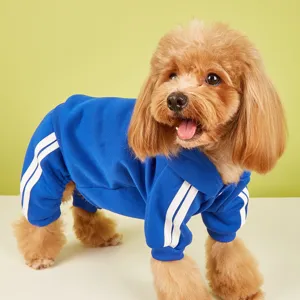 Vista dettagliata di un grazioso cane con una felpa con cappuccio blu e righe bianche.