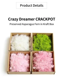 Preserved Asparagus Fern Dried Flowers DIY Craft Material Kraft Paper Box Home Decor