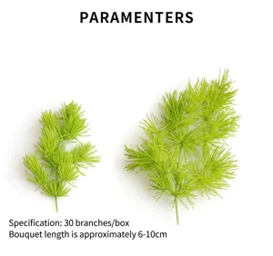Detailed view of preserved green pine needle plant materials, dried flower decor for DIY crafts.