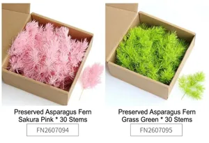Preserved asparagus fern detail, DIY flower material for craft, frame and floating bottle decor