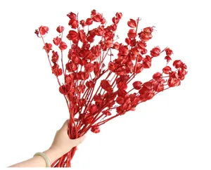 Red dried lantern fruit flower branches detail view for elegant home decor and festive floral arrangements.