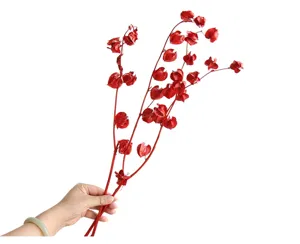 Red dried lantern flower branches for home decor, festive floral arrangement, natural dry plant.