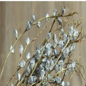 Dettaglio in primo piano di rami di eucalyptus essiccati naturali per arredamento.