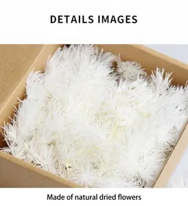 White dried asparagus fern flowers for DIY craft, resin, photo frame, and home decor.