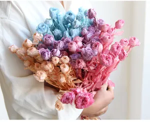 Preserved multi-head mini rose bouquet for home decor, floral arrangement, and DIY crafts.
