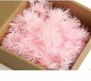 Pink preserved Asparagus setaceus dried flowers DIY floral material for handmade craft decor