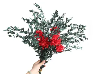 Boeket van gedroogde eucalyptusbladeren en rode hortensia voor tafeldecoratie in huis.