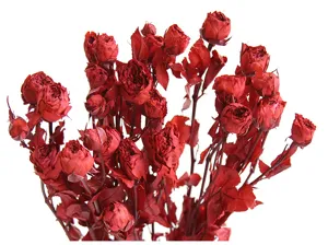 Preserved real red multi-head small roses dry flower bouquet for DIY craft candle decor.