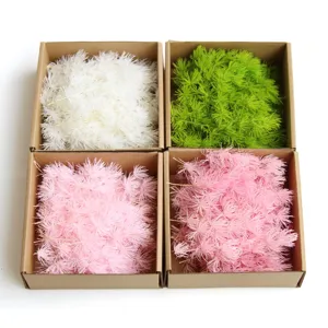Preserved Asparagus Fern Dried Flowers Box Natural Plant Material For DIY Crafts Greeting Cards Home Decor