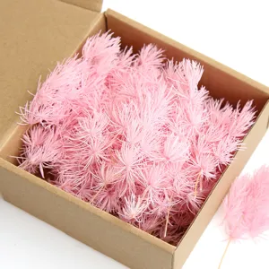 Pink preserved asparagus fern dried flowers for DIY crafts, photo frames, and resin art decor.