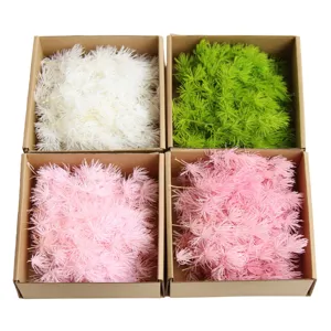Preserved asparagus fern dried flowers DIY craft material for floating bottle photo frame