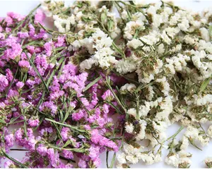 Natural dried statice flowers for DIY crafts, resin art, scented candles and gift box decoration.