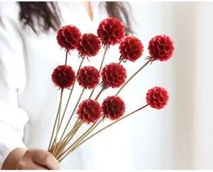 Red dried flowers natural plant bouquet for home decor DIY floral arrangement wedding party