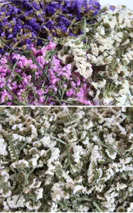 Natural dried statice flowers bulk for DIY crafts, resin casting, and scented candles.