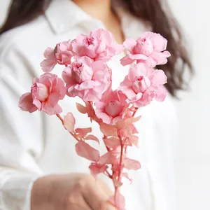 Preserved multi-head small pink rose bouquet for DIY floral arrangement and home decor.