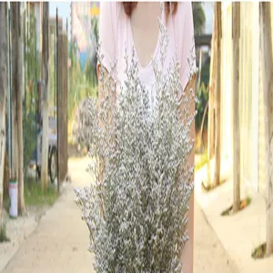 Natural dried statice flowers bunch forest style home decor plant bouquet 100g new