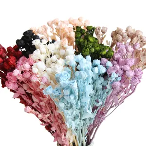 Preserved multi-head small roses dried flower bouquet for DIY floral arrangement and crafts
