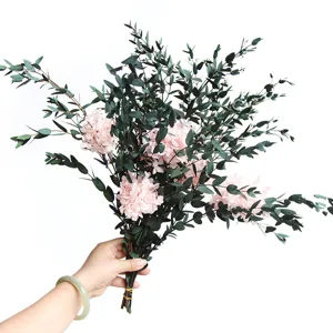Geconserveerde Fijnbladige Hortensia Boeket Echte Gedroogde Bloemen Woondecoratie Woonkamer Eettafel Bloemstuk