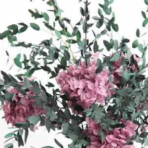 Gepreserveerd roze hortensia en eucalyptus droogbloemen boeket voor tafel en huisdecoratie.
