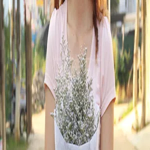 Detailed view of natural dried statice flowers, perfect for rustic home decor and floral art.