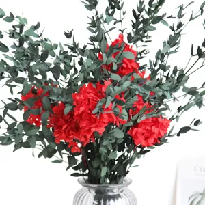 Geconserveerd rood hortensia en eucalyptus boeket in glazen vaas voor tafeldecoratie.