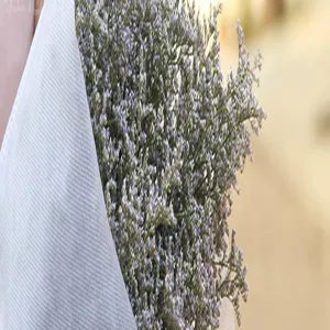 Detailed view of natural dried statice flowers wrapped in white mesh for home decor.