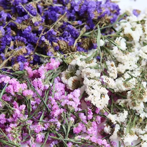 Natural Forget Me Not Dried Flower Heads Dried Flowers For DIY Epoxy Resin Aromatherapy Candles Sachet Floral Decoration