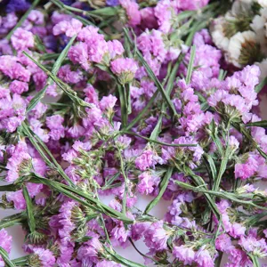 Natural dried statice flower heads bulk for DIY craft resin candles floral decor