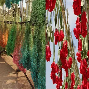 Close-up detail of hanging dried flowers and red roses for natural home decor and floral arrangement.