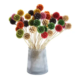Natural dried flowers botanical bouquet home decor DIY craft floral arrangements natural style