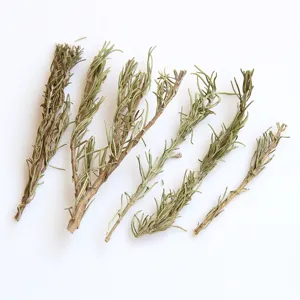 Natural Dried Rosemary Branches Herb Aromatherapy DIY Craft Materials Christmas Home Floral Decoration
