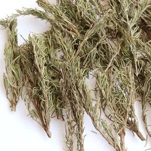 Natural dried rosemary branches for aromatherapy DIY handmade crafts and floral decor supplies.